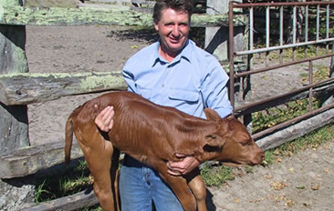 2007